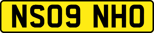 NS09NHO