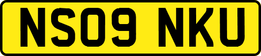 NS09NKU