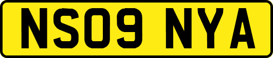 NS09NYA