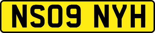 NS09NYH