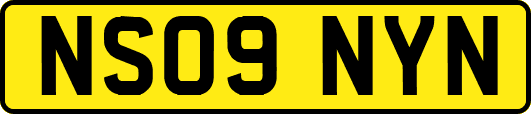 NS09NYN