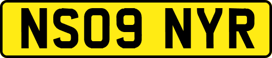 NS09NYR