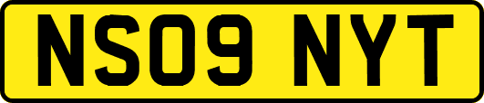 NS09NYT
