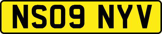 NS09NYV