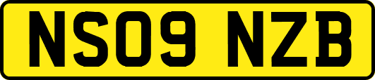 NS09NZB