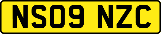 NS09NZC