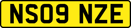 NS09NZE