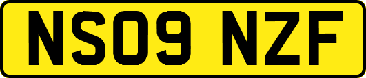 NS09NZF