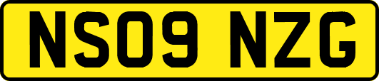 NS09NZG