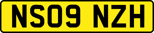NS09NZH