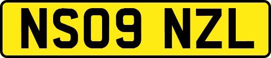 NS09NZL