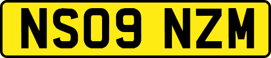 NS09NZM