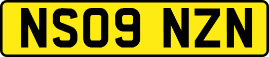 NS09NZN
