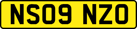 NS09NZO