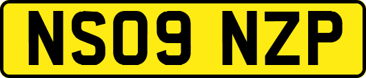NS09NZP