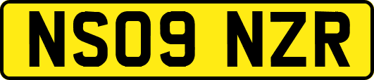 NS09NZR