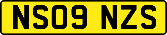 NS09NZS