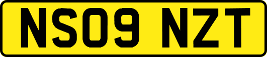 NS09NZT
