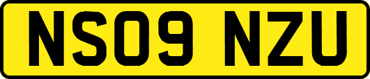 NS09NZU