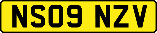 NS09NZV