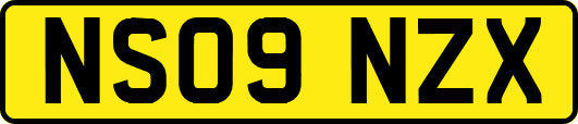 NS09NZX