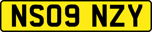 NS09NZY