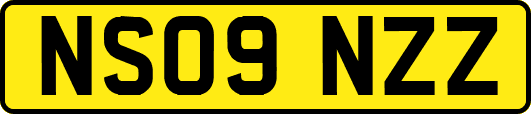 NS09NZZ