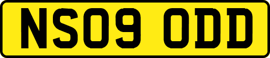NS09ODD