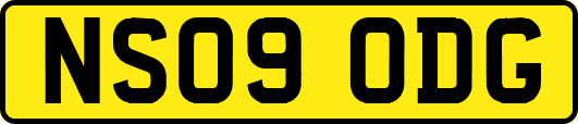 NS09ODG