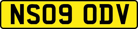 NS09ODV