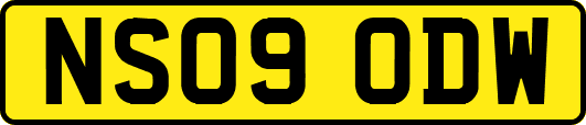 NS09ODW