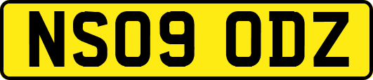 NS09ODZ