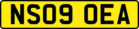 NS09OEA
