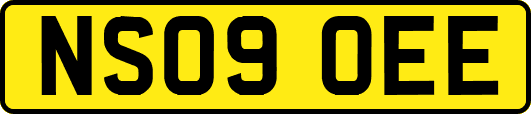 NS09OEE