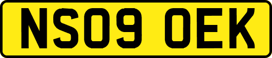 NS09OEK