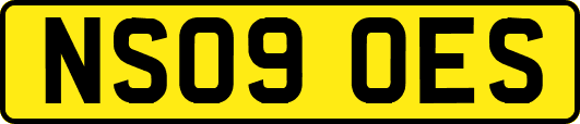 NS09OES
