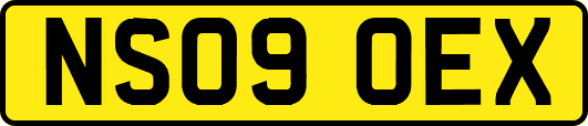 NS09OEX