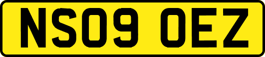 NS09OEZ