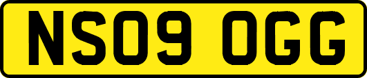 NS09OGG