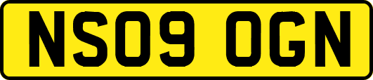 NS09OGN