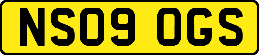 NS09OGS