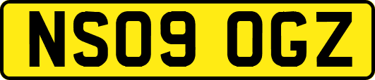 NS09OGZ