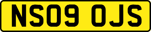 NS09OJS