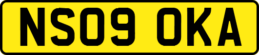 NS09OKA