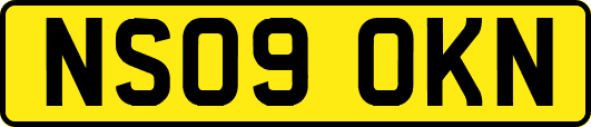 NS09OKN