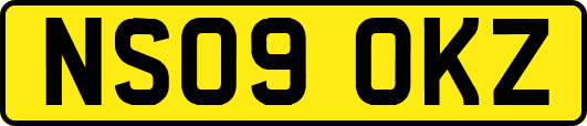 NS09OKZ