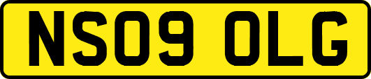 NS09OLG