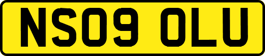 NS09OLU