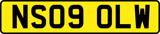 NS09OLW