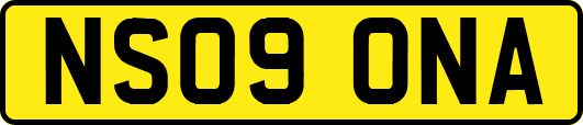 NS09ONA
